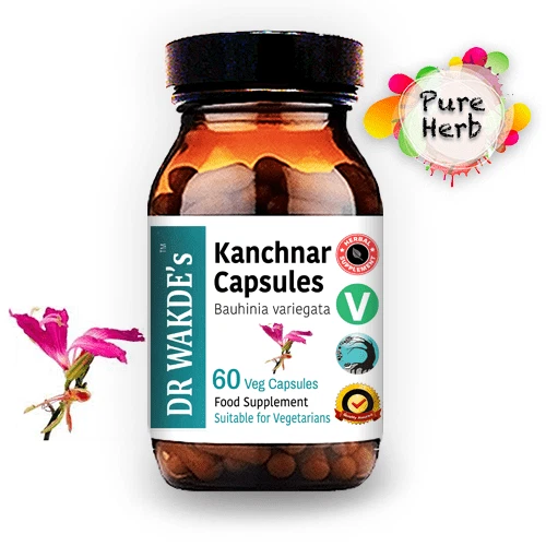 Gélules Karela Dr Wakde's - Momordica Charantia, Complément Herbal 100%, Royaume-Uni