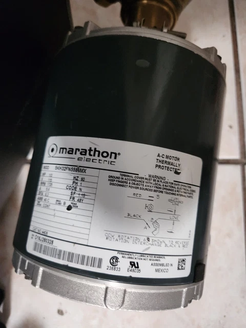 beer pump and motor