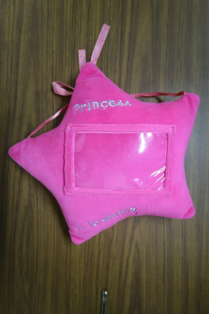 Pink Star-Shaped Princess in Training Photo Hanging Plush