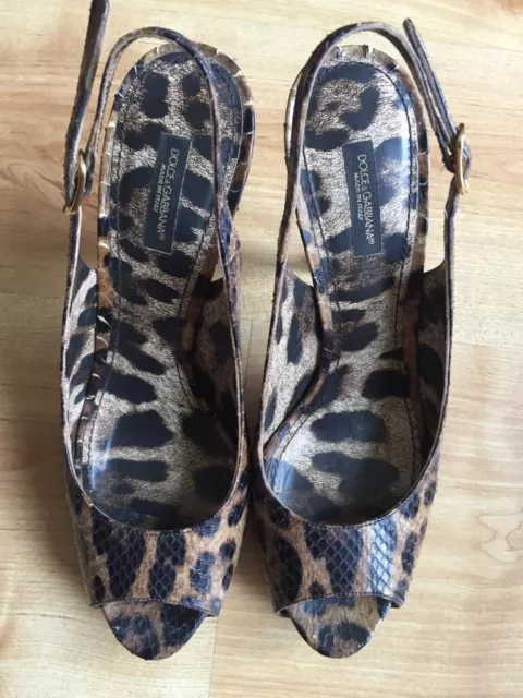 Tacchi dolce deals gabbana
