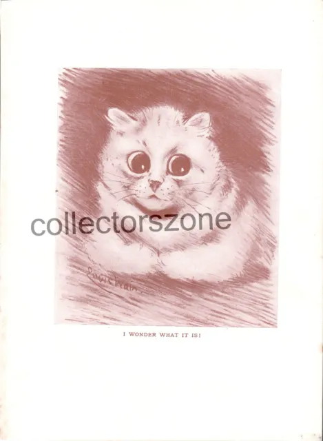 Louis Wain Book Print Surprised Looking Cat Taken from 1910 book 9 x 7 inch