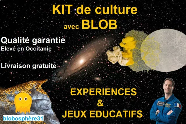 BLOBBOX - KIT De Culture De Blob EUR 12,50 - PicClick FR