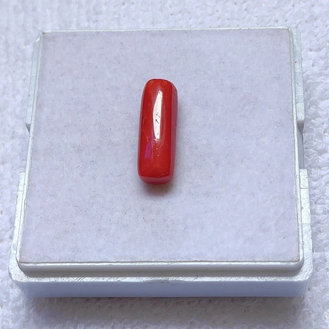 Cabochon de corail italien naturel de qualité AAA+, pierres précieuses en...