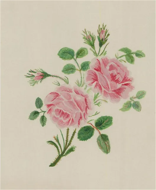 20th Century Watercolour - Pink Roses