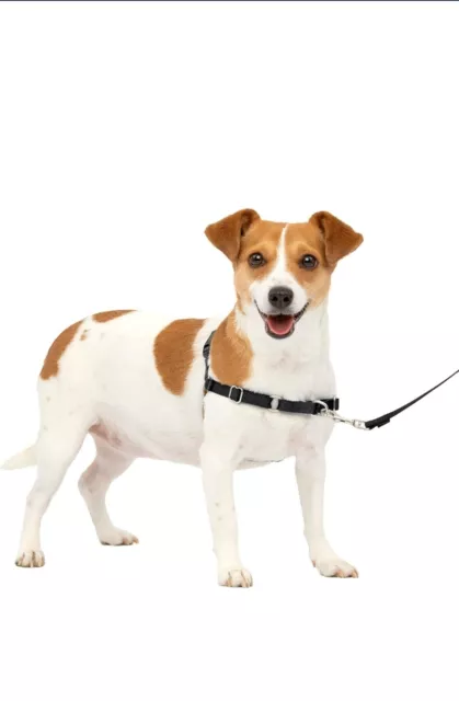 Easy Walk Dog Harness- Small, Red
