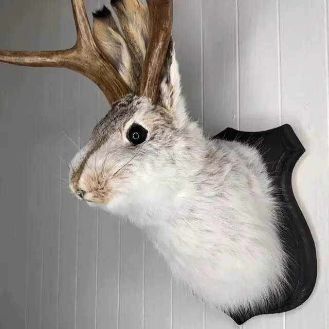 Statue Wall Mount Rabbit Head Hang Sculpture Animal Home New 2024 :))))