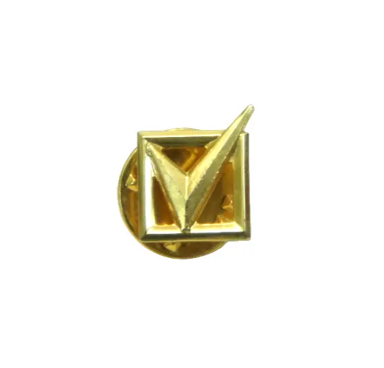 Vintage Gold Check Box Voting Pin (I Voted)