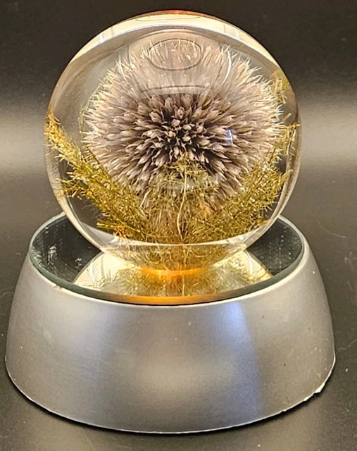 アンティーク雑貨 90s VINTAGE HAFOD GRANGE PAPERWEIGHTS L アンティーク雑貨 90s VINTAGE HAFOD GRANGE PAPERWEIGHTS L