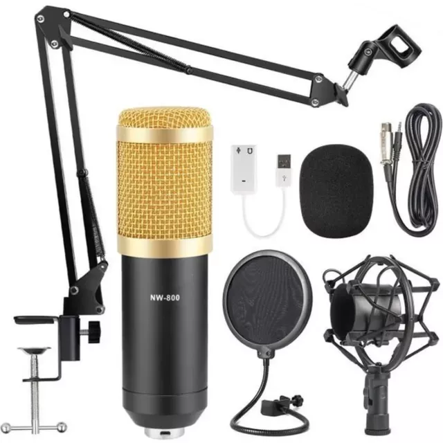 Microphone à Condensateur BM-800  Enregistrement Bras + Support Antichoc+ filtre