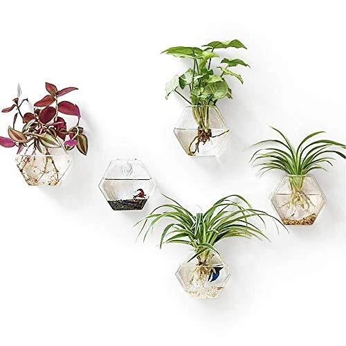 2 Pack Wall Hanging Plant Terrarium Glass Planter for Home Office Christmas