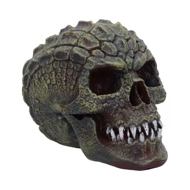 Reptilian Scaled Skull Nemesis Now Gothic Horror Fantasy Figurine