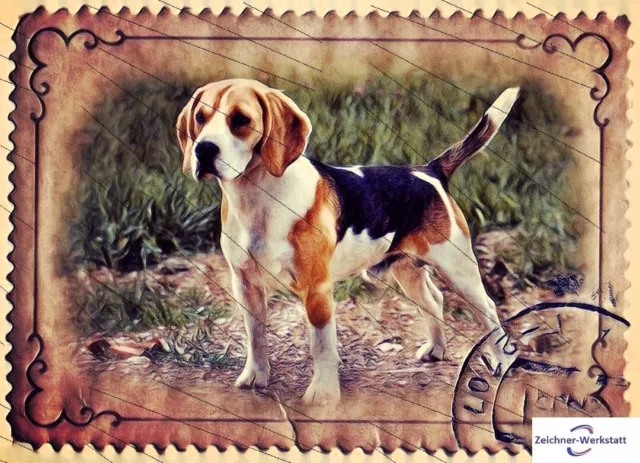 Beagle--ee1a81f