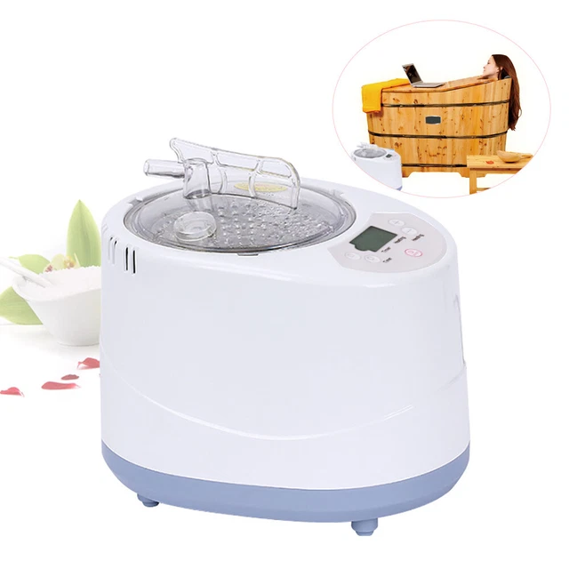 Generatore di vapore 220 V 3 L 9 marce sauna bagno piroscafo portatile spa generatore di vapore 1000 W