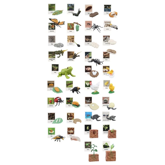 LIFE CYCLE TOY ,Biology Science ,Realistic Animal Figurines £9.78