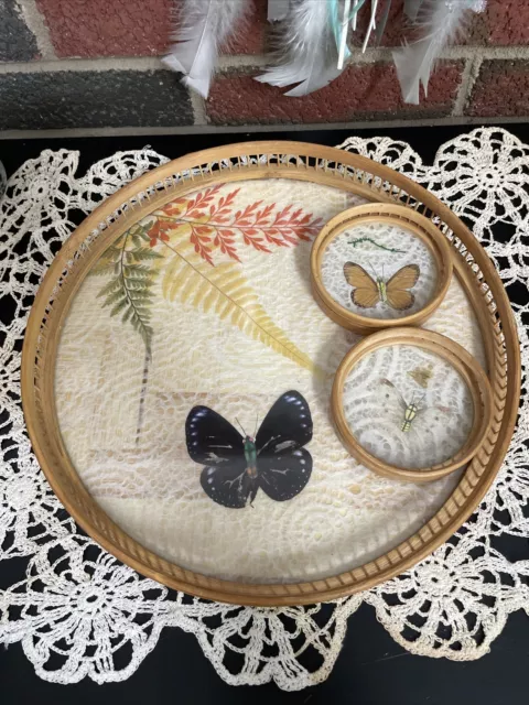 Vintage Bamboo Pressed Moth Butterfly Lace Cocktail Tray and 2 coasters Wooden