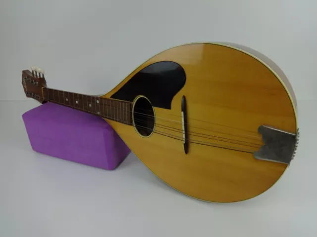 Herman Carlson Levin Mandolin Vintage,1969 Goya158,8-String,String Instruments