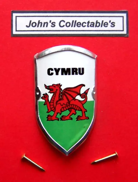 Cymru Wales Walking / Hiking Stick Badge / Mount Lot K