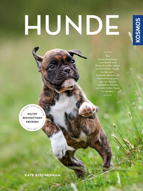 Hunde Kate Kitchenham