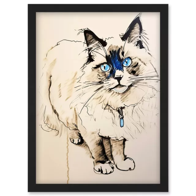 Blue Point Ragdoll Cat Sketch Drawing Portrait Framed Wall Art Picture Print A4