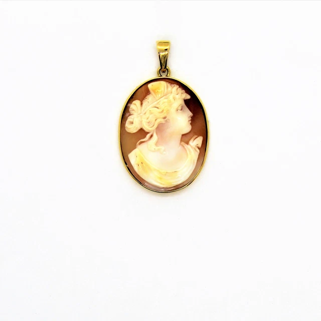 Pendentif Broche Camée En Or 750 (18 Carats) - Profil De Femme, Poids 6,04g, Poinçon Tête D'aigle, Occasion