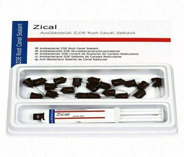 Prevest Denpro Zical Automix Antibacterial Root Canal Sealer Dental