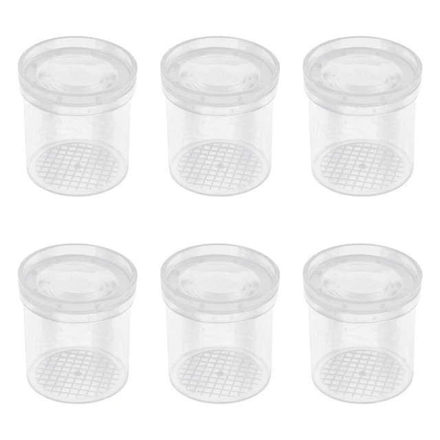 6pcs Transparent Insect Viewer for Kids - Educational Exploration Gadget