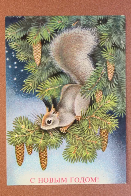 NEW YEAR! Winter forest. Squirrel. Cones. Russian unused postcard USSR 1977🎄