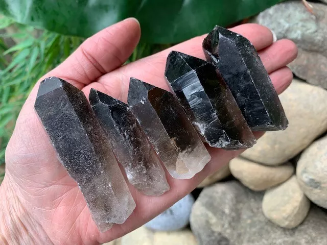 Natural Smoky Quartz Points, Smokey Quartz,Raw Point,1.5" - 2.3"