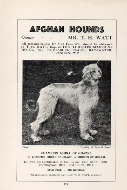 Afghan Hound Old Vintage 1934 Named Dog Print Page