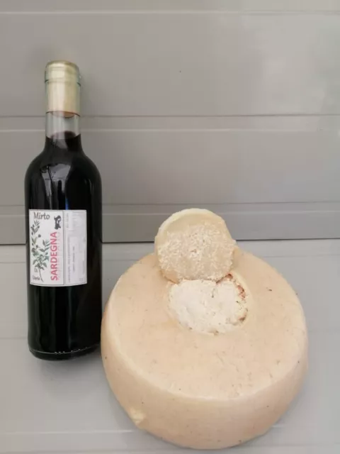 Casu Marsu "Formaggio con i Vermi forma - Mirto di Sardegna