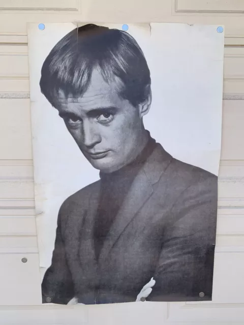 David McCallum Man From Uncle Vintage 1966 Fan Club 24.5 x 37.5 RARE Poster #48