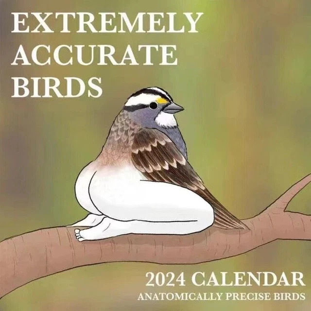 2025 CALENDAR OF EXTREMELY ACCURATE BIRDS 2025 Bird Calendar Wall
