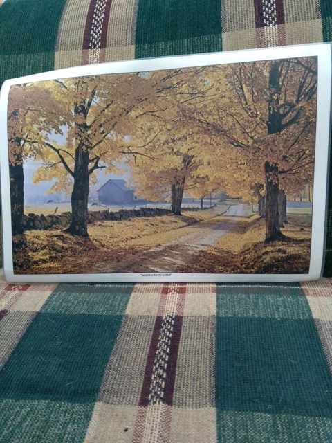 America the Beautiful Laminated Vinyl Placemats 4 Vintage