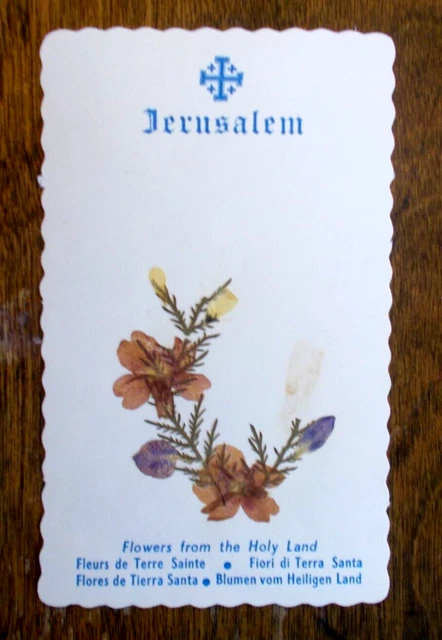 1 - Vintage - Jerusalem - Flower From The Holy Land - Pressed Flower Card