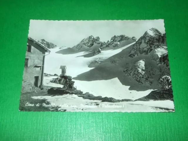 Cartolina Cime di Musella dalla cap. Marinelli ( Valmalenco ) 1957