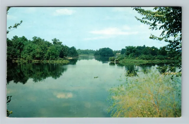 Milford DE-Delaware, Scenic Silver Freshwater Lake, Reflection Vintage Postcard