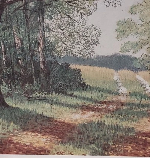 Jim Harrison "Oak Tree 1993"  Unframed 16 x 12