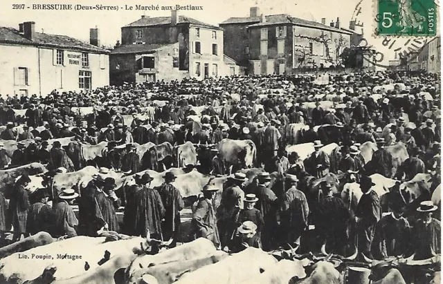 Bressuire Le Marche Aux Bestiaux