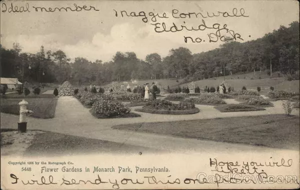 1906 Oil City,PA Flower Gardens in Monarch Park Rotograph Venango County Vintage