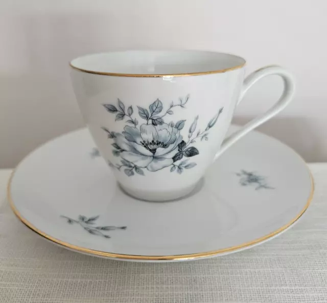 KPM Krister  Porcelain Rare Rose Pattern Cup & Saucer Set