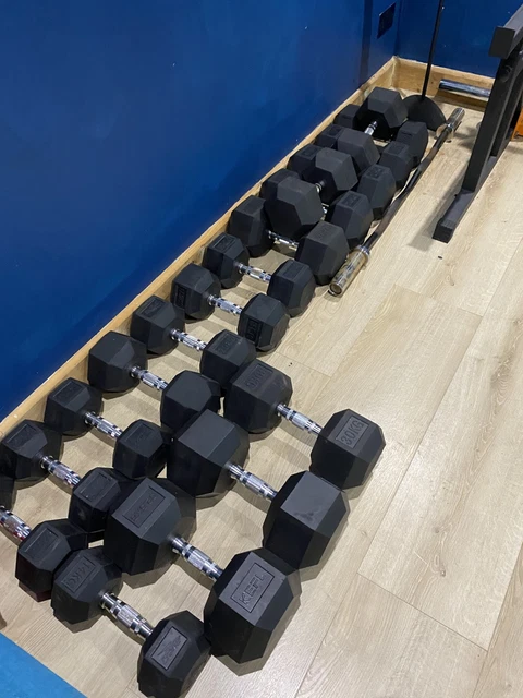 30KG HEX DUMBBELLS Pairs Rubber Encased Cast Iron Gym Dumbbell Hand ...