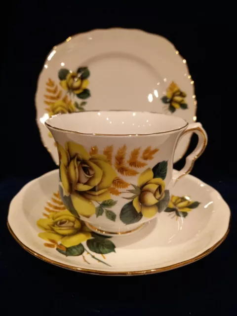 Queen Anne Bone China Trio. Roses. Tea cup, Saucer and Tea Plate