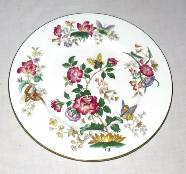 Wedgwood Charnwood 10.75 inch Dinner Plate