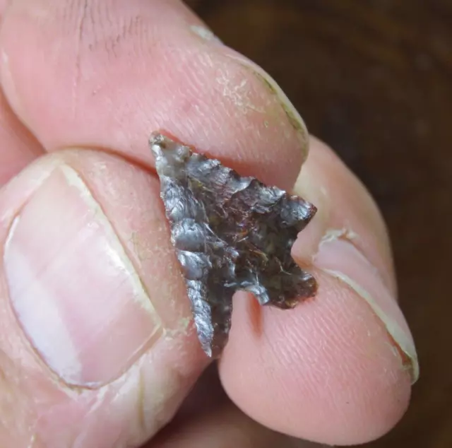 Dark red agate Columbia Plateau arrow point Willamette Valley, Oregon 3/4 in.