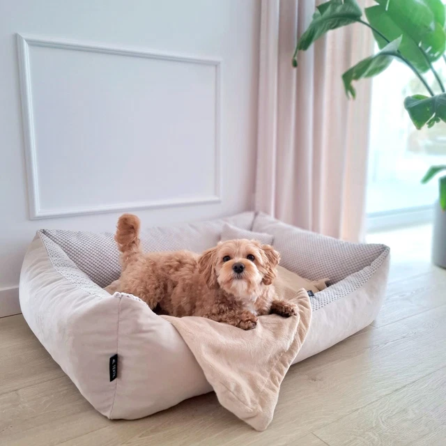 Hunde Bett Wolke 4L Textil Luna Kuscheliges Hundebett Mittelgroe Hunde  Katzenkrbchen Hundebett Polyester Waschbar