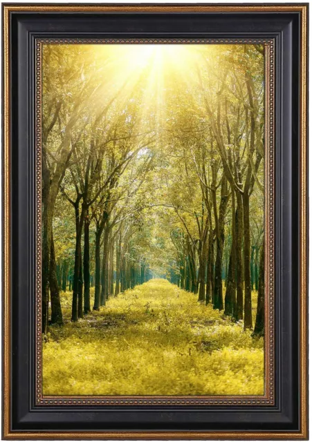 11x17 Picture Frame Poster/Art/Picture Shatter-Resistant Glass Black/Ornate Gold
