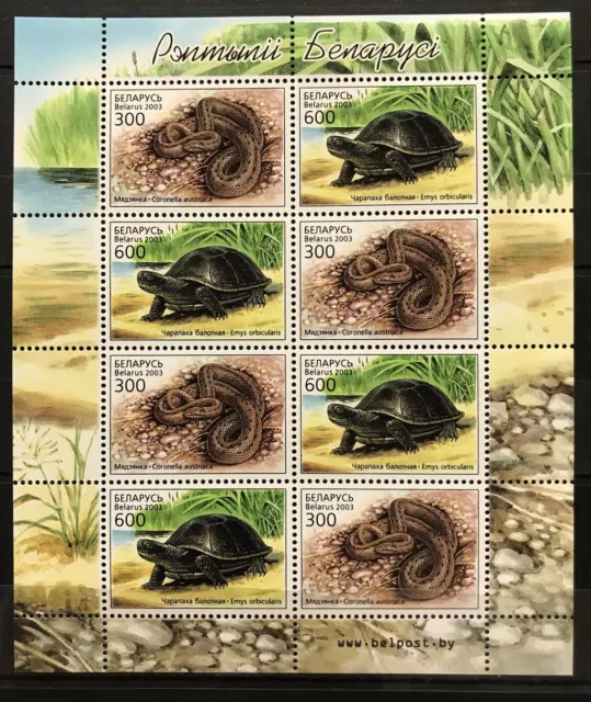 Belarus - Turtles / Snakes / Animals / Fauna - stamps - MNH** - BV