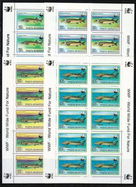 Romania 1994 MNH Sc 3954-3957 Mi 5034-5037 Sturgeon. Fish. WWF. Set of KLB **