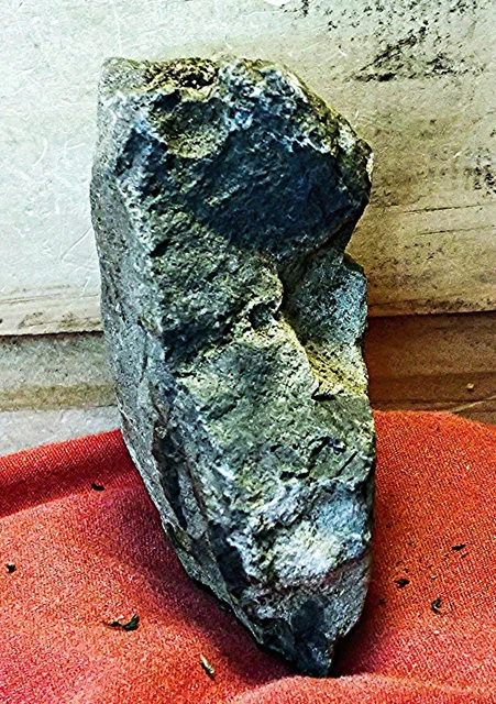 Prehistoric Stone Fetish/Effigy/Rock Art/Sculpture/Birdstone/Pareidolia -C1
