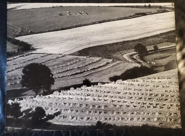 Heinrich Heidersberger: Original Fotografie